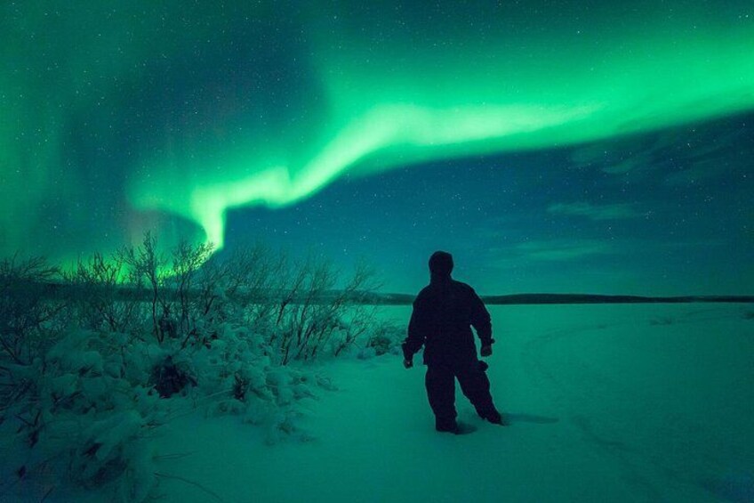 Una persona in piedi in un paesaggio innevato sotto un'aurora verde. 1