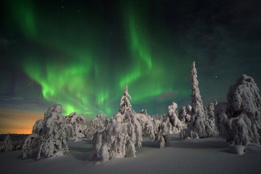Paesaggio innevato con alberi coperti di neve e aurore boreali. 2