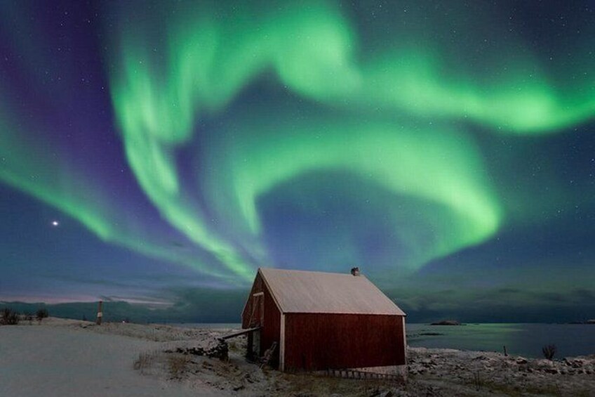 Paesaggio innevato con una stalla rossa e un lago sotto un cielo notturno con aurora boreale verde. 4