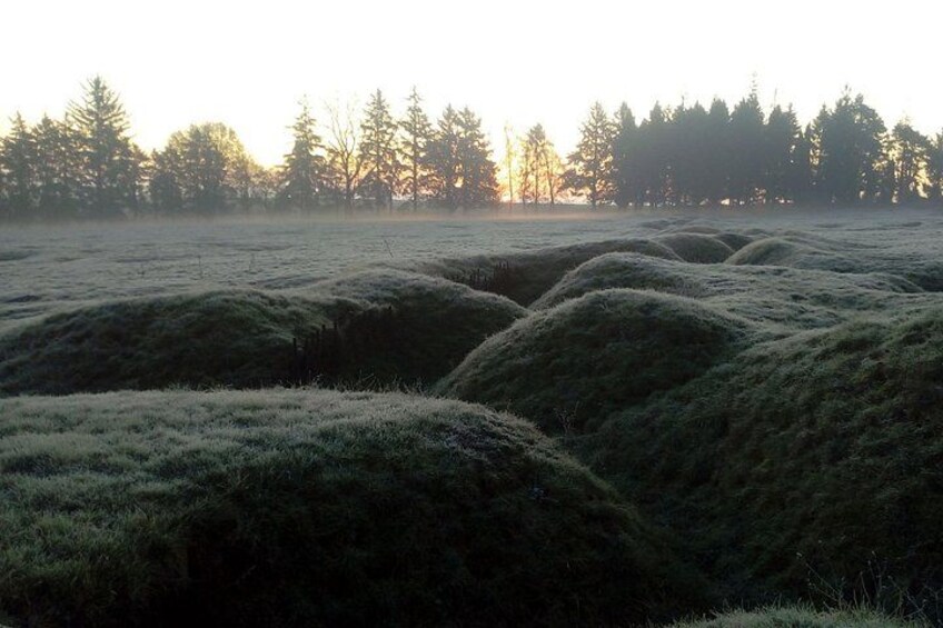 Un campo helado con colinas onduladas y una hilera de árboles al fondo. 3