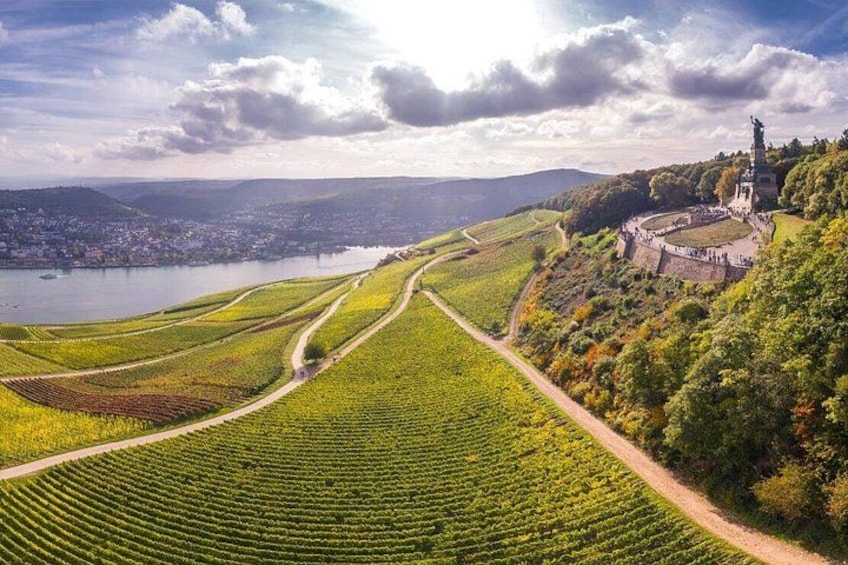 A vineyard with rows of grapevines, a body of water, and a historic tower. 4