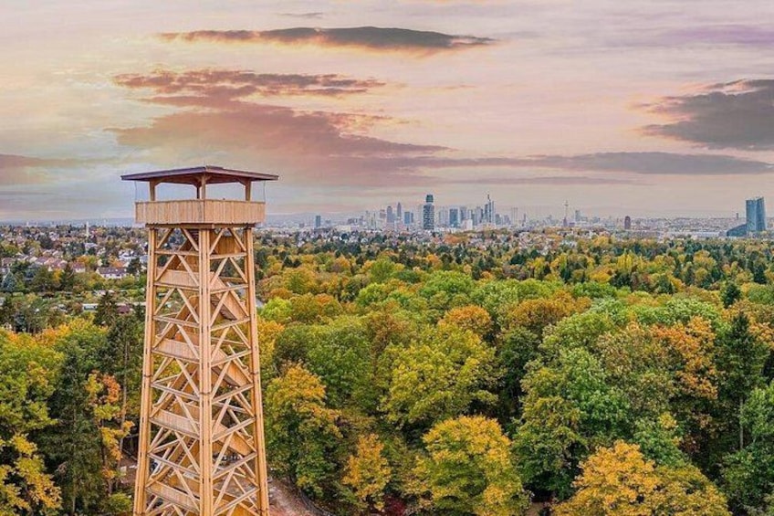 A tower, a city skyline, and a forest. 3