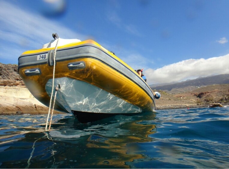 Amazing snorkeling experience in southern Tenerife