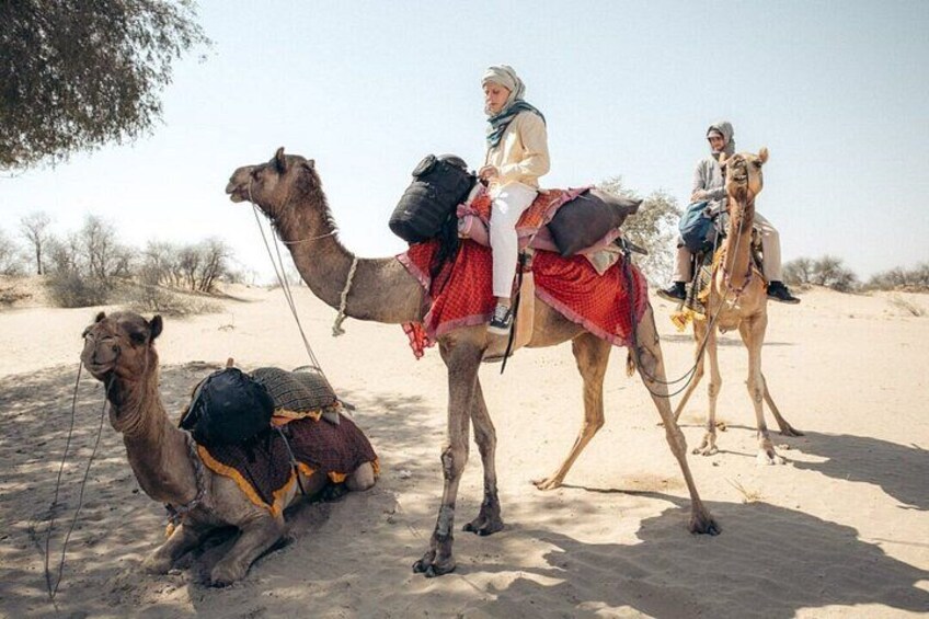 Discover the Hidden Beauty of the Thar Desert 1