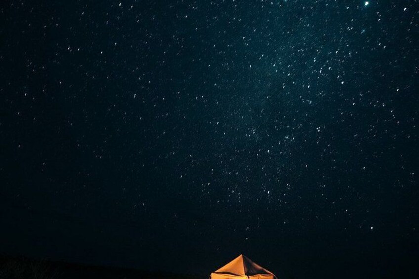 Discover the Hidden Beauty of the Thar Desert 3