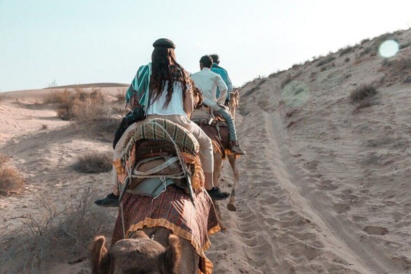 Discover the Hidden Beauty of the Thar Desert 2