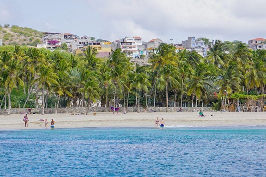Una playa con palmeras, gente nadando y edificios al fondo. 4
