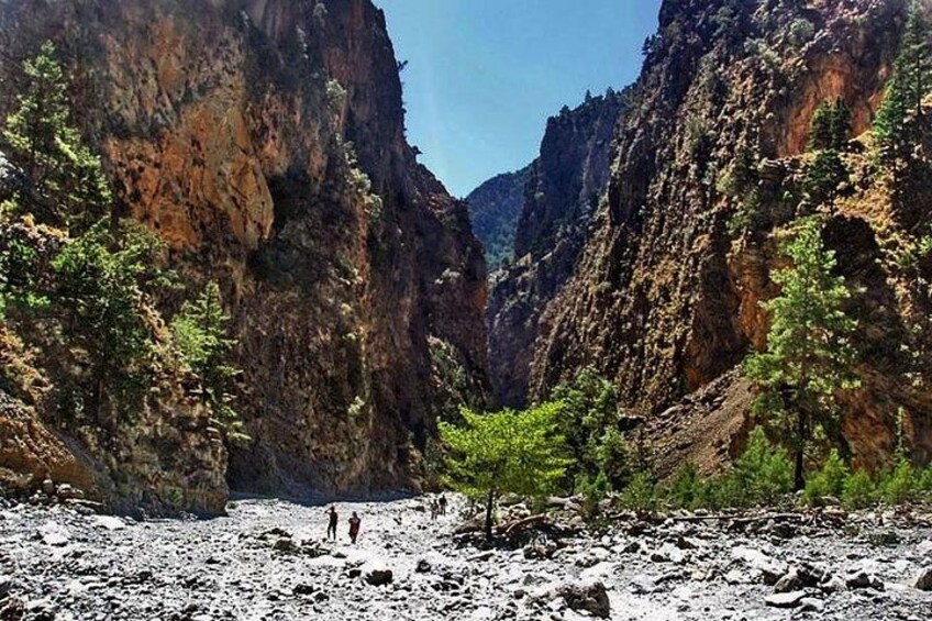 A canyon with rocky terrain and sparse vegetation. 5