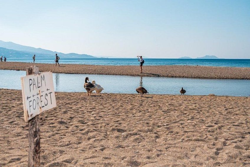 Preveli Beach and Plakias Full-Day Trip From Rethymno 5