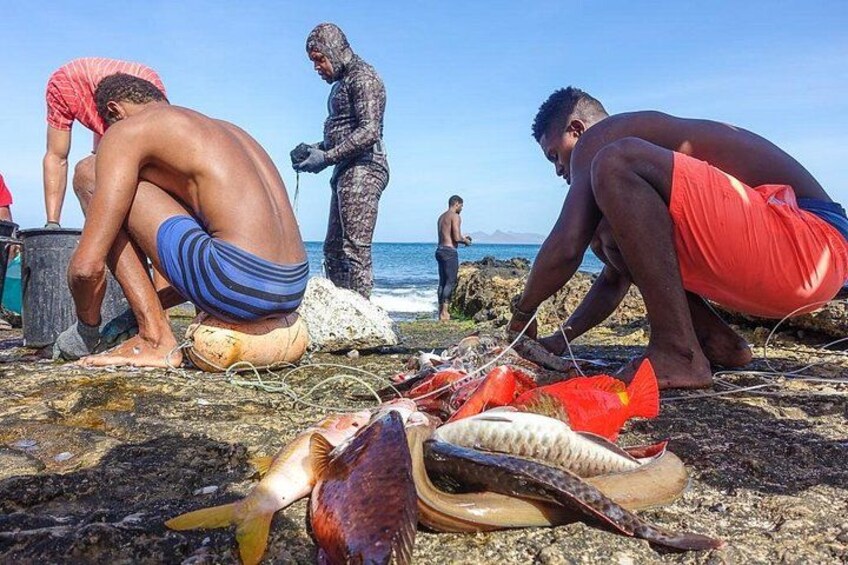 Fresh catch 5