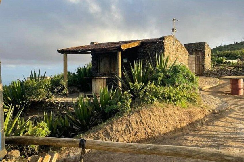 Tea House Monte Verde 2