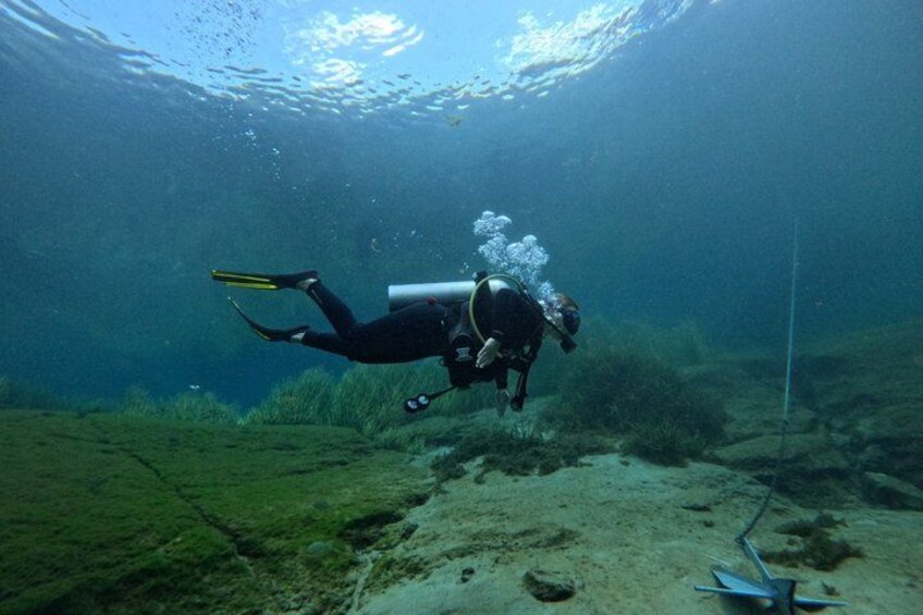 Snorkel The Amazing Rainbow River Florida 2
