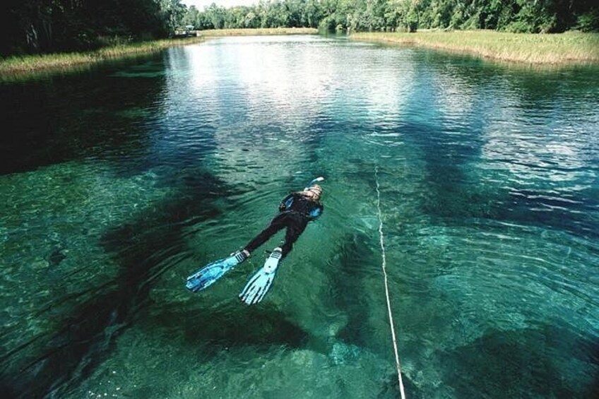 Una persona nada en un río transparente con árboles al fondo. 5