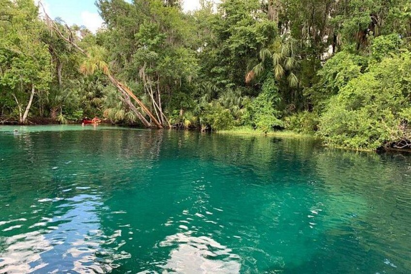 Un lago turquesa cristalino rodeado de frondosa vegetación verde. 3
