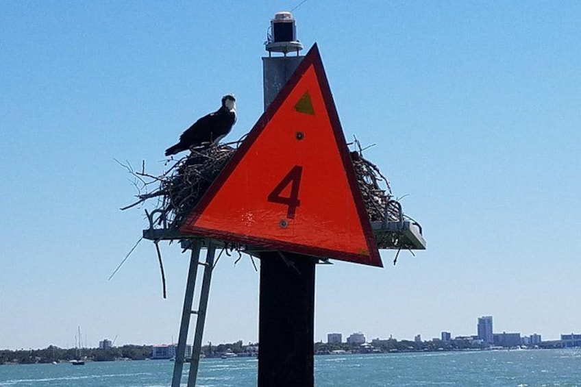 Ein Vogel auf einem Nest auf einem roten, dreieckigen Schild mit der Nummer 4, mit Blick auf ein Gewässer und eine entfernte Stadtlandschaft. 2
