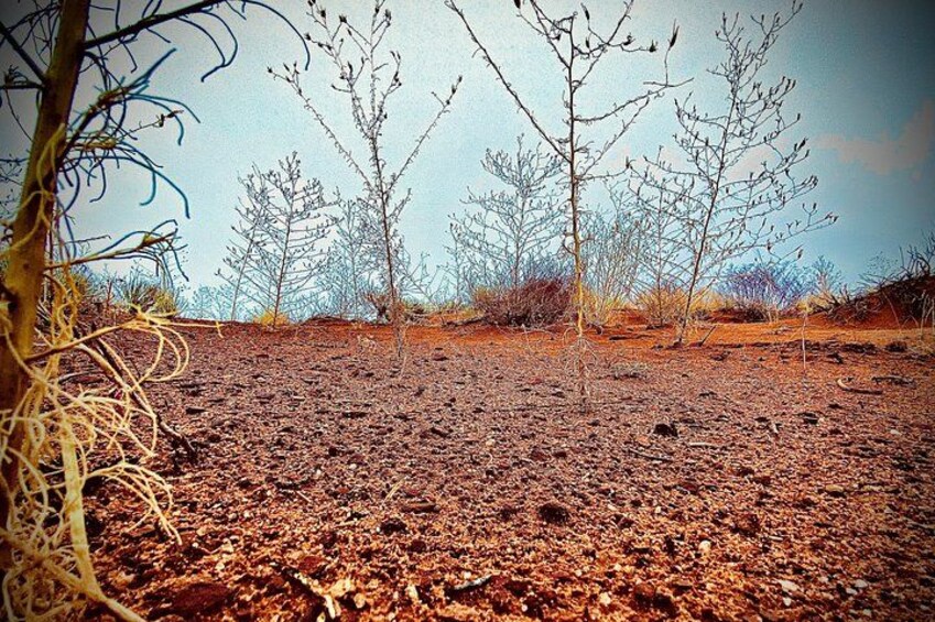 “Life below” 2