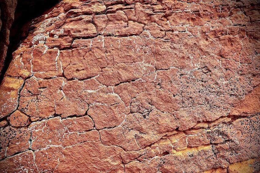 A close-up of a dry, cracked rock surface with visible layers and textures. 4
