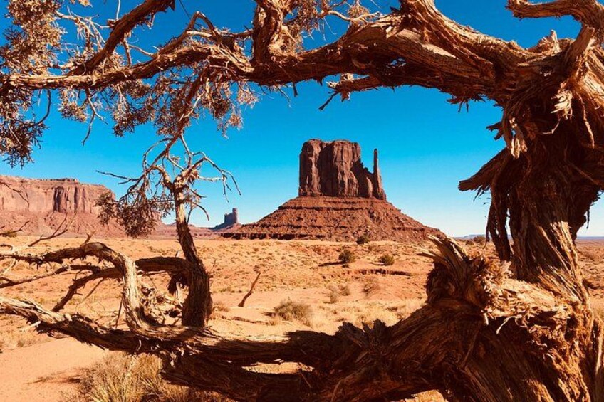 Un paysage désertique avec une formation rocheuse imposante et un arbre mort au premier plan. 3