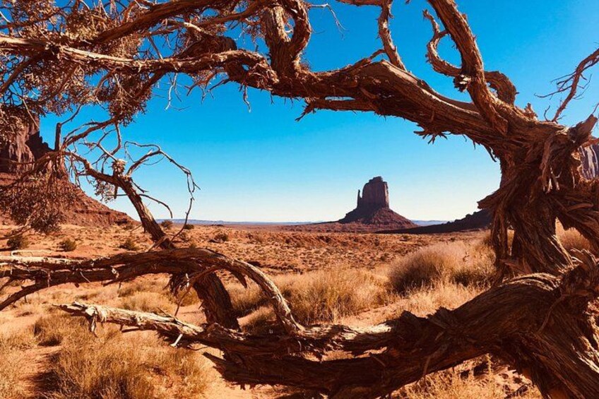 Right Mitten Butte with Juniper Frame 4
