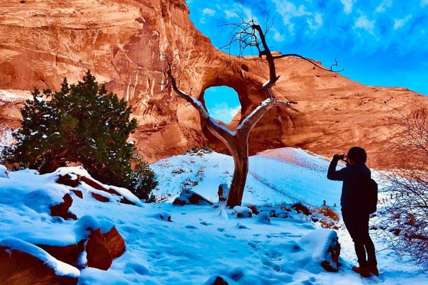 Un paysage enneigé avec une grande formation rocheuse et un arbre au premier plan. 2