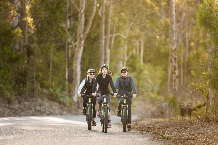 The hinterland behind Narooma has stunning gravel roads with views of dairy pastures and lush forests 1