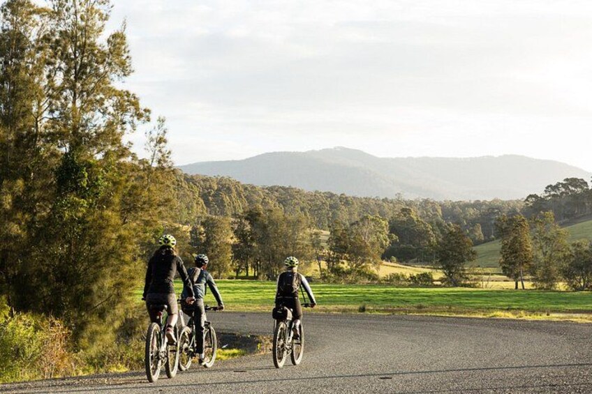 Ride to the Tilba Valley Winery & Ale house and back to Narooma 4