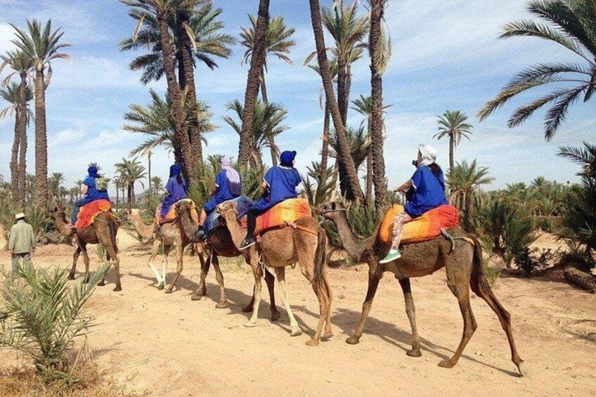 ATV Quad biking in Marrakech desert palmgrove 3