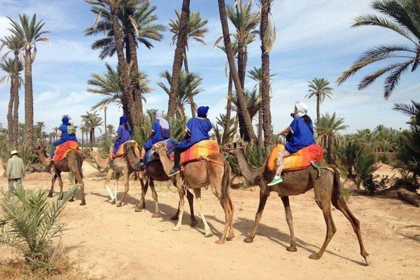 ATV Quad biking in Marrakech desert palmgrove 3