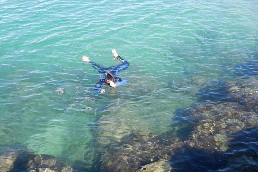 Gold Coast Kayaking & Snorkelling Tour (2.5 Hours) 2