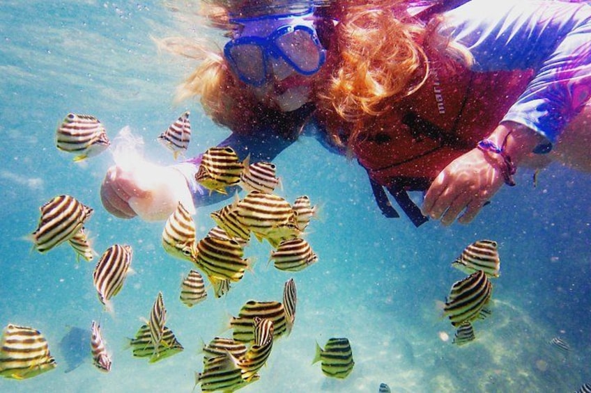 Gold Coast Kayaking & Snorkelling Tour (2.5 Hours) 2
