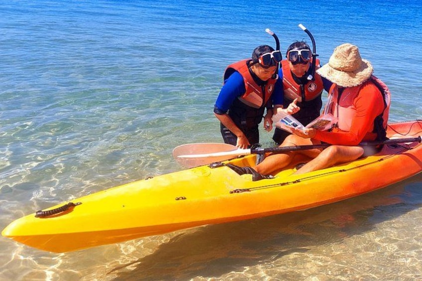 Gold Coast Kayaking & Snorkelling Tour (2.5 Hours) 3