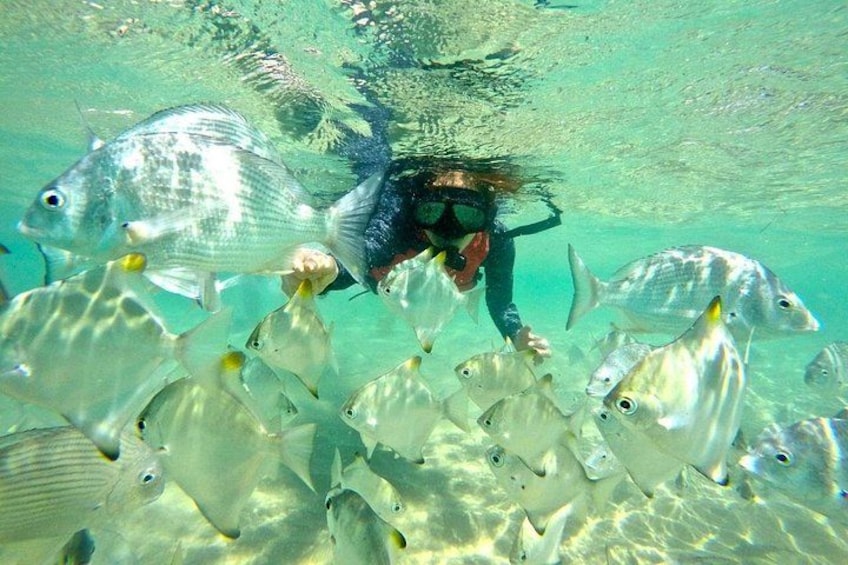 Gold Coast Kayaking & Snorkelling Tour (2.5 Hours) 5
