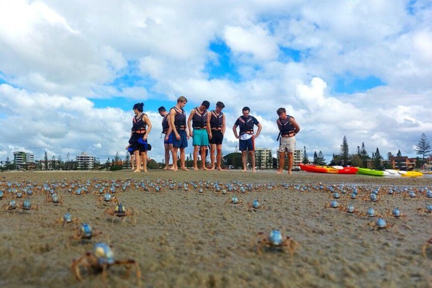 Gold Coast Kayaking & Snorkelling Tour (2.5 Hours) 2