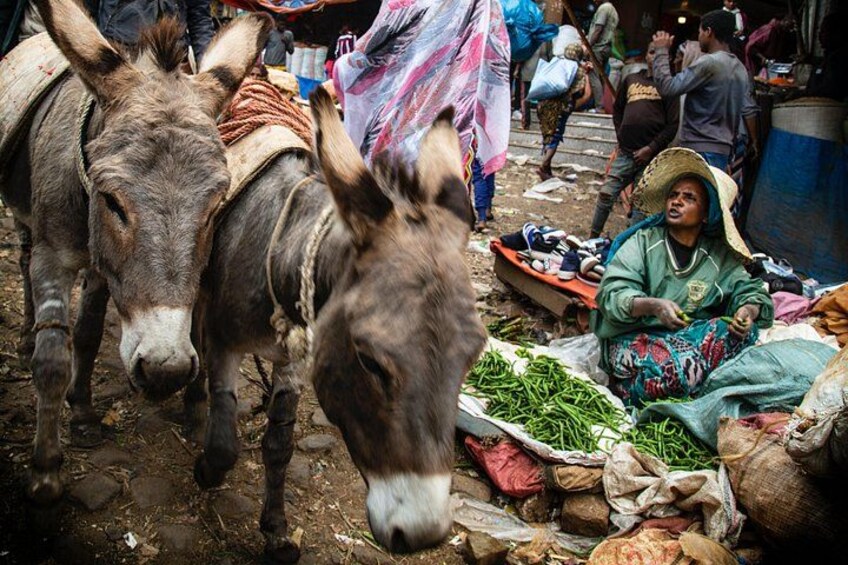 Burros, una persona y verduras verdes en un mercado. 2