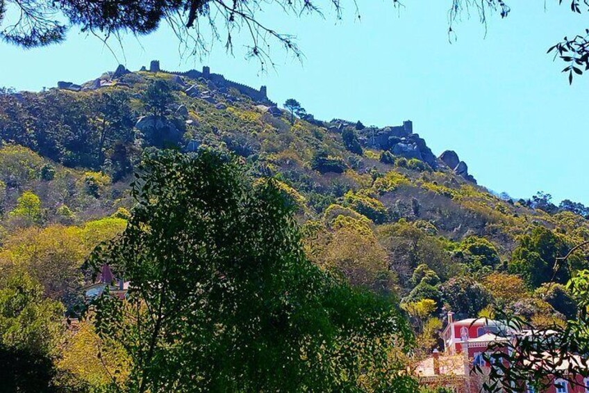 Moorish castle, Sintra, Portugal 4