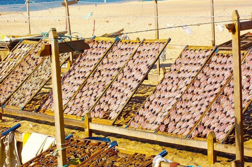 Secaderos de pescado en la playa. 5