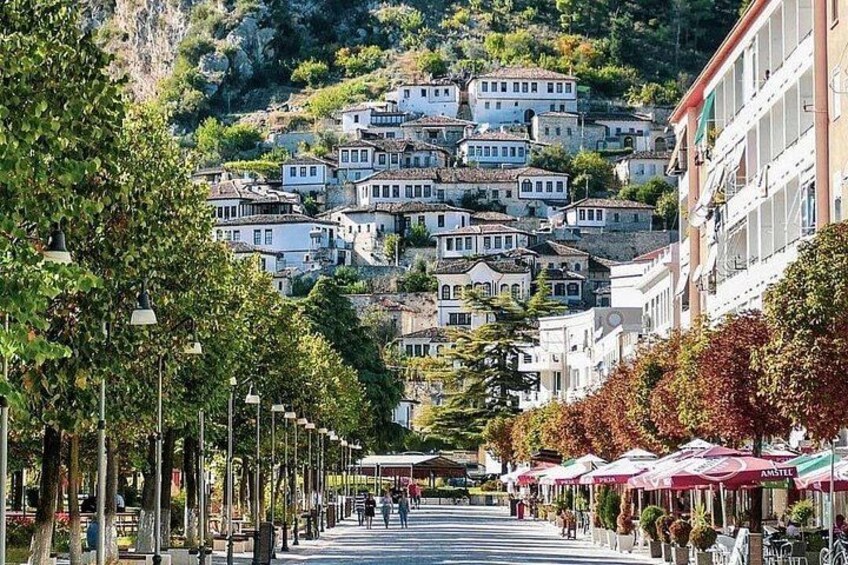 From Tirana; Semi - Private Day Trip to Berat & Belsh Lake 5