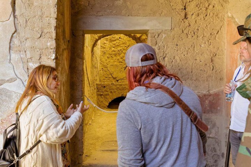 Pompeii Tour & Lunch with Wine Tasting Experience 2