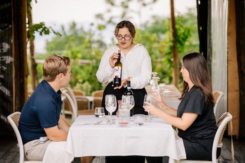 Pompeii Tour & Lunch with Wine Tasting Experience 1