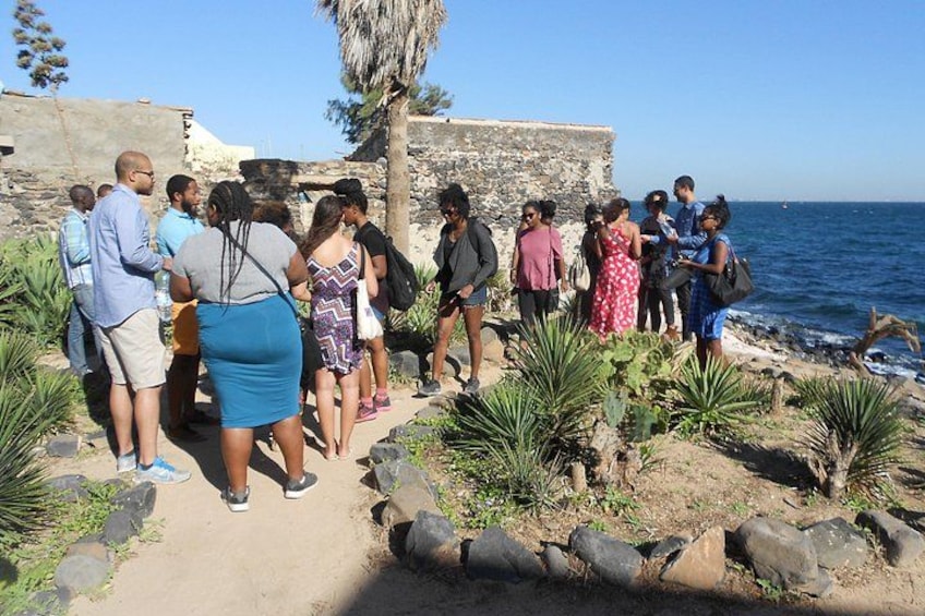 Un gruppo di persone in piedi su un sentiero vicino al mare, con un muro di pietra e palme sullo sfondo. 3