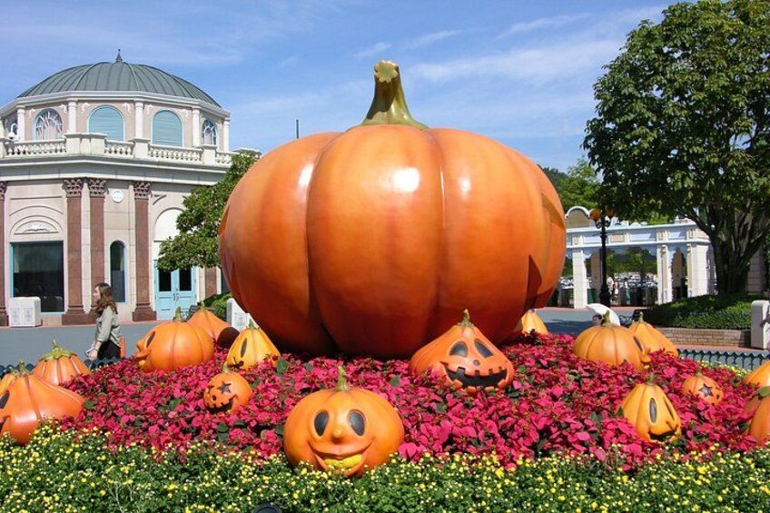EVERLAND "From Hotel to Hotel" [Premium Private Tour: Only One Group for You] 5