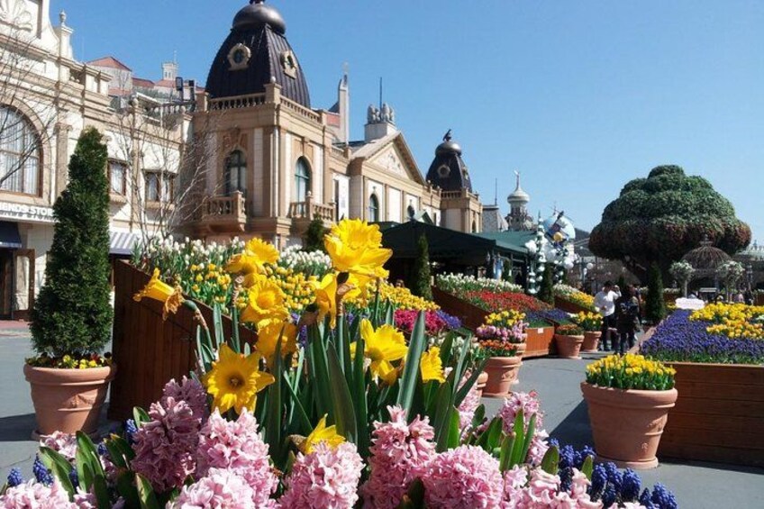 A flower garden with daffodils and pink flowers in front of a historic building with domes. 1