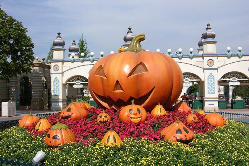 EVERLAND "From Hotel to Hotel" [Premium Private Tour: Only One Group for You] 3