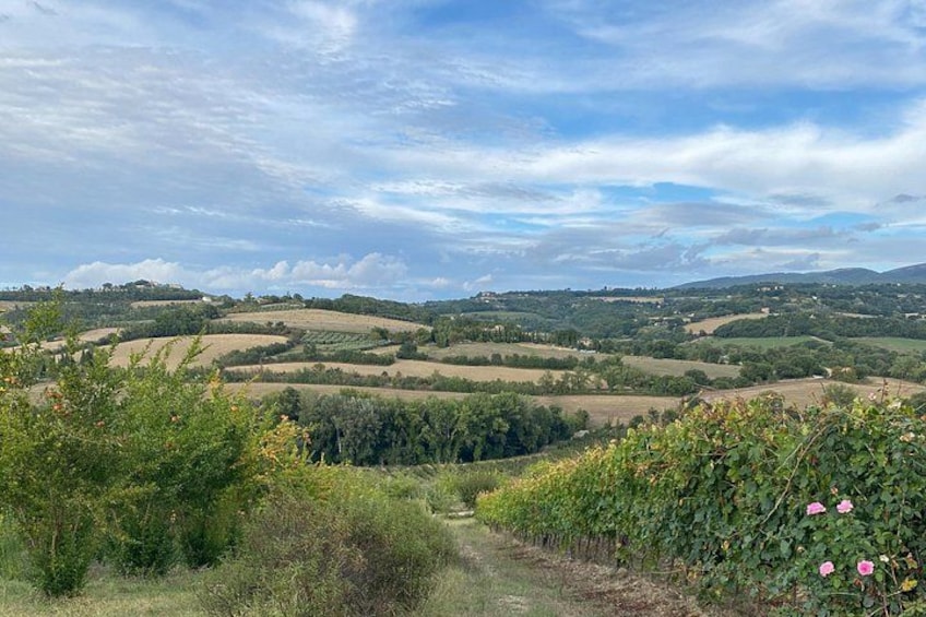 Experiences in Umbria, Toscana and Marche 1