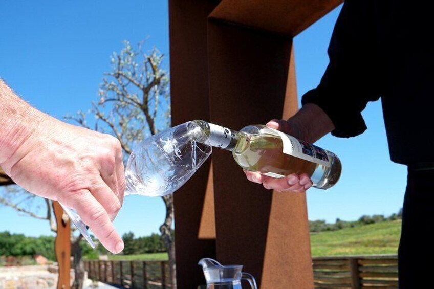 Wine Tasting and Art Tour 4