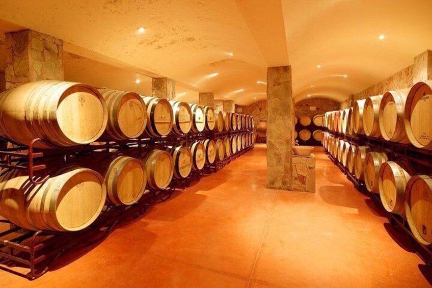 Wine Tasting and Art Tour 5