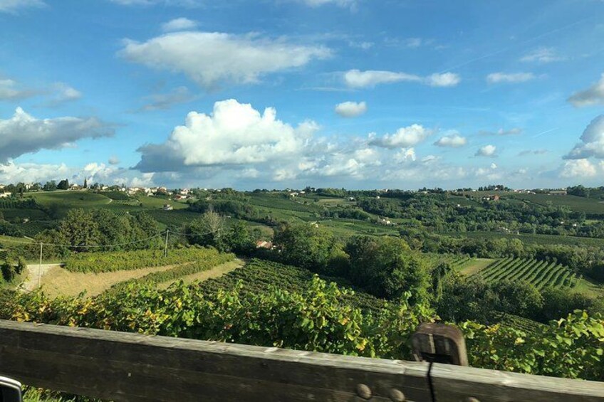 A Sparkling Day in the Prosecco Hills from Venice 3