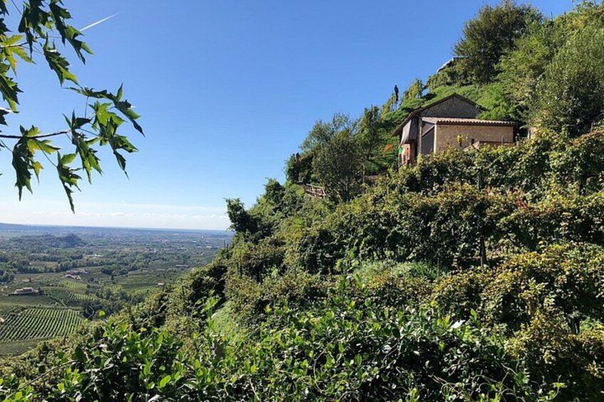 A Sparkling Day in the Prosecco Hills from Venice 3