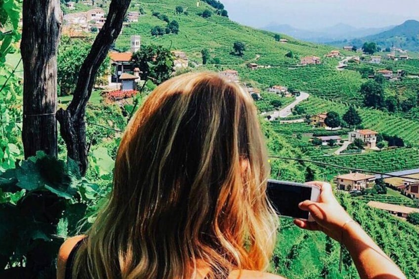 A person with long hair taking a photo of a vineyard landscape. 2