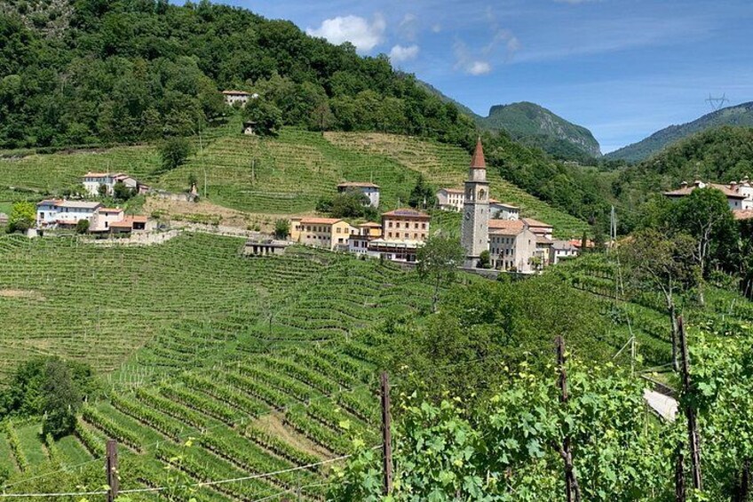 A Sparkling Day in the Prosecco Hills from Venice 1